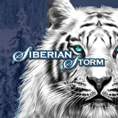 Siberian Storm — game cover
